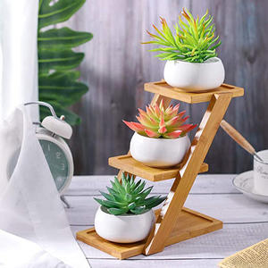 Macetas para suculentas con platillos de bambú de 3 niveles, soporte de soporte blanco para plantas suculentas, <span class=keywords><strong>maceta</strong></span> de cerámica decorativa oblato - Product Image 6