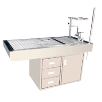 Table d'Autopsie en Acier Inoxydable pour Morgue, Banc de Dissection pour Laboratoire d'Anatomie, Excellent Rapport Qualité-Prix