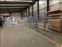 12 ft Moderne Draagbare Zware Gegalvaniseerde Metalen Ronde Omheining voor Vee, Paarden en Dieren, Eenvoudig te Monteren