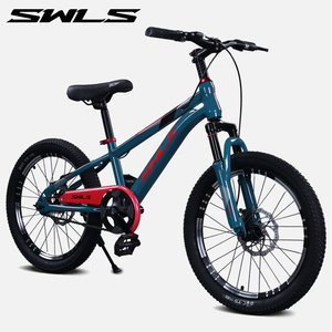 Bicicletta da Montagna Personalizzata per Ragazze e Ragazzi, 16-22 Pollici, Blu, Monovelocità, Freno a Disco, Sospensione Anteriore, in Alluminio - Product Image 2