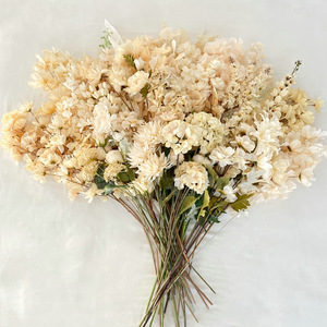 Fleurs artificielles Queyiyi Champagne, branches en soie et plastique de 10cm à 30cm, pour mariage, décoration intérieure et photographie. - Product Image 1