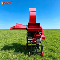 Nouvelle Hacheuse de Fourrage en Acier Inoxydable pour Tracteur avec Prise de Force, Grande Capacité, pour Paille, Fourrage, Foin, Ensileuse et Broyeur d'Herbe