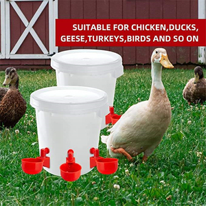 Abreuvoirs automatiques pour volailles avec remplissage par filetage, coupelles en plastique pour l'eau des poulets, kit d'abreuvoirs pour animaux de ferme - Product Image 5