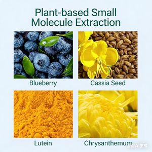 Zongyitang Thai Augenpflege-Salbenpflaster |   Kräuter-Infundierte Kühlende Augenpflaster gegen Müdigkeit & Trockenheit - Product Image 4