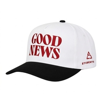 Gorra de Béisbol Ajustable Personalizada con Bordado 3D en Relieve, Unisex, Estilo Urbano, Deportiva, Casual, de 5 Paneles, Estructurada, de Sarga de Algodón