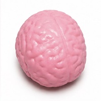 Jouet anti-stress géant en forme de cerveau réaliste, à rebond lent, idéal pour la relaxation émotionnelle