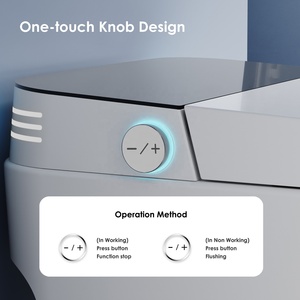 Simple Smart <strong>Toilet</strong> Sanitary <strong>Bidet</strong> Toilette Bowl Tankless Electric Automatic Wc Intelligent <strong>Toilet</strong> For Bathroom - Product Image 2