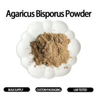 Bulk Agaricus Bisporus poeder, witte champignonspoeder, natuurlijk vruchtend poeder voor voedingssupplementen, grondstof