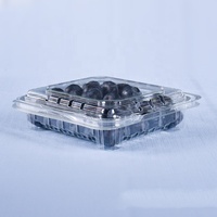 Conteneur carré pour myrtilles de 125 g, boîte en plastique PET/rPET, boîte d'emballage pour myrtilles avec trous d'aération
