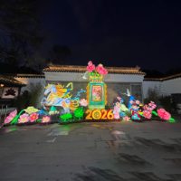 Lanterne Lumineuse Personnalisée pour Parc d'Aventures et Centre Commercial, Décoration d'Ambiance Extérieure