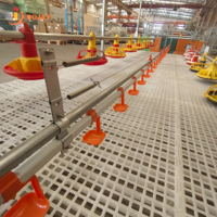 Système d'alimentation automatique complet pour volailles, pour élevages de poulets de chair, fabricant direct d'équipements d'alimentation par mangeoire à plateau, fournisseur