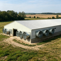 Structure en acier galvanisé à chaud moderne, haute résistance, résistante au vent et aux tremblements de terre, poulailler préfabriqué, hangar pour volailles