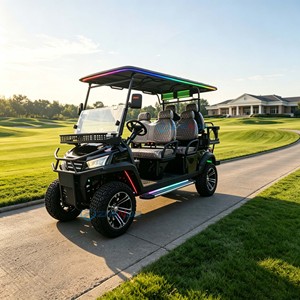 High-efficiency Multi-functional 6-seat Black Gasoline Golf Cart LED Light <b>Strip</b> 30-50Km/h 90km Range Four Wheel - Product Image 2
