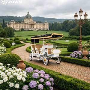 Factory Direct Electric Victoria Horse Carriage Quiet <b>Battery</b> <b>Operated</b> Tour Vehicle for City Sightseeing - Product Image 1