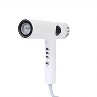 Meilleur sèche-cheveux de voyage portable professionnel 2050 3000 Watt, mini concentrateur compact pour usage domestique et hôtelier