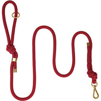 Laisse pour chien en nylon avec mousqueton doré tendance, résistante, durable, anti-traction, avec poignée antidérapante