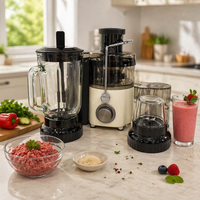 Mixeur centrifuge multifonctionnel de cuisine mini 800W à vitesse variable, machine à jus avec lames en acier inoxydable et grande ouverture de 65 mm
