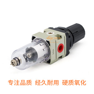 Vanne de réduction de pression avec filtre Sxqd Aw3000 03 avec manomètre pour système pneumatique - Product Image 4