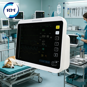 Moniteur de signes vitaux professionnel pour usage vétérinaire, multiparamètres, 12 pouces, ECG, NIBP, SPO2, RESP, TEMP, ETCO2, IBP, pour chiens et chats - Product Image 4