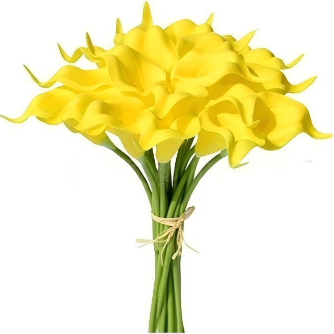 Giallo