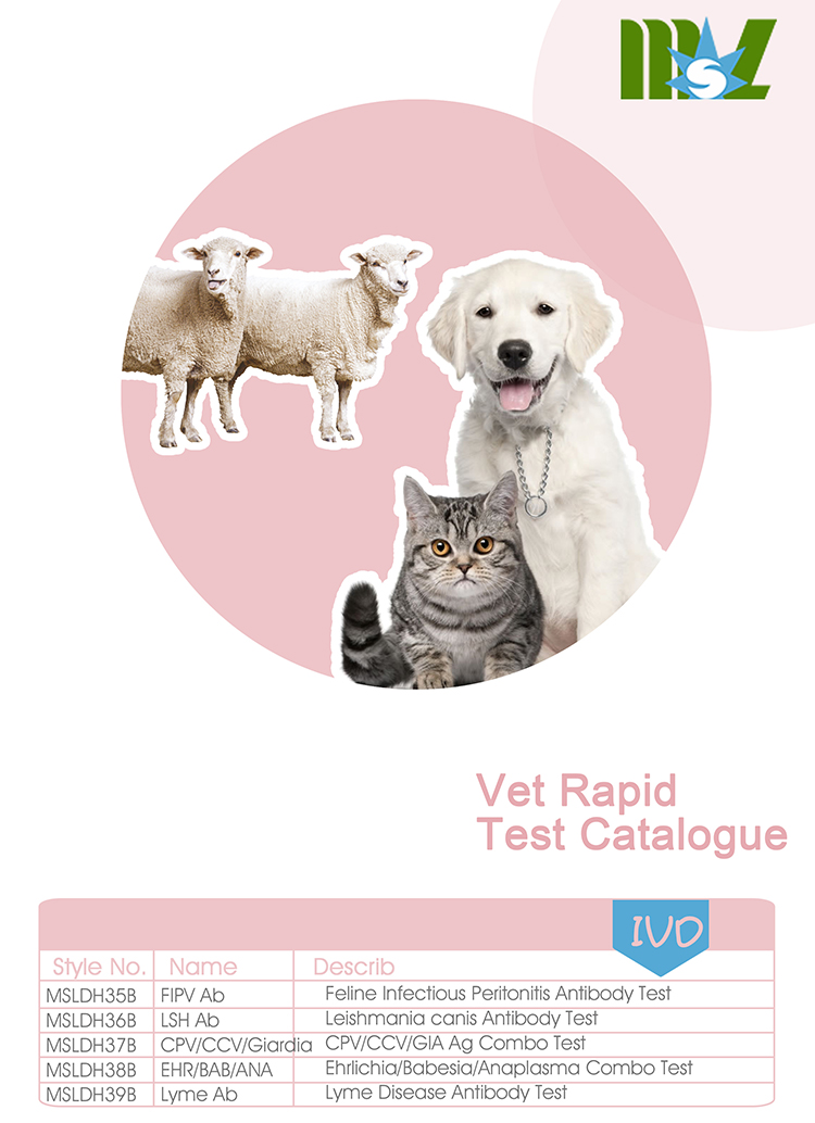Prueba combinada de anticuerpos Ehrlichia / Anaplasma para animales mascotas - Prueba rápida