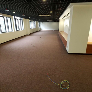 Antideslizante PP Loop Pile Alfombra de pared a pared Oficina Sala de estar Comedor Hotel Escaleras Gimnasio Tienda Alojamiento Casa Iglesia Sala de reuniones - Product Image 5