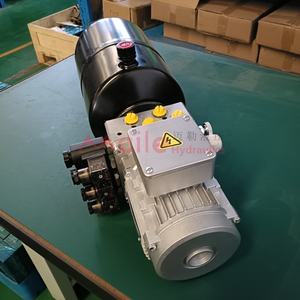 מערכת הידראולית חדשה מפלדת פחמן 400V/230V במחיר מפעל, יחידת כוח הידראולית עם צילינדרים כפולים להרמה, מערכת מיני פאוור פאק, שפתיים טלסקופיות לתחנת עגינה - Product Image 6