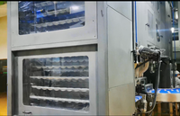 Chaîne de production de pain pita, lavash et tortillas de maïs entièrement automatique, haute efficacité, en acier inoxydable, pour pains de 6 à 12 pouces