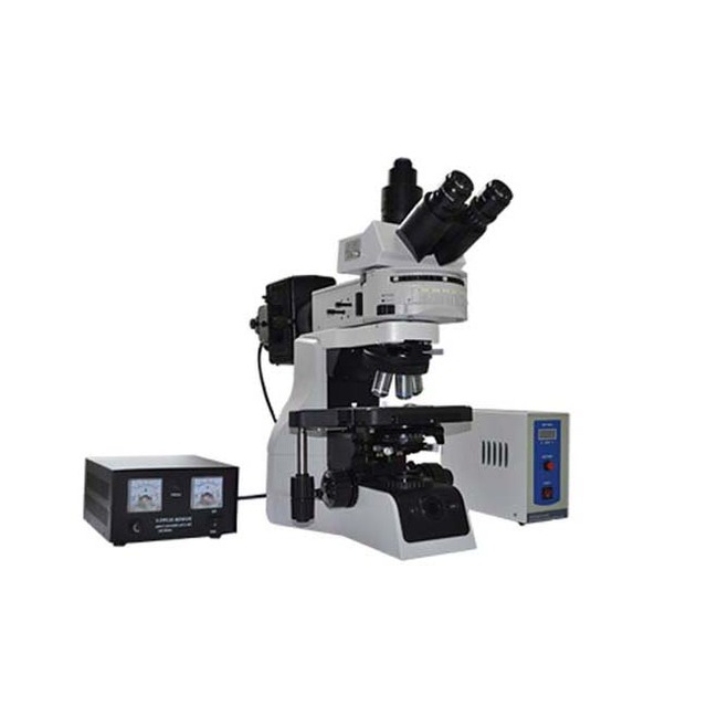MF43-1 Research Grade Fluorescence Microscope