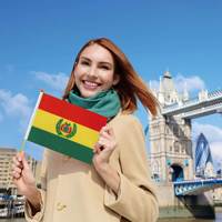 Drapeau de Bolivie à agiter à la main, style fanion, 14*21cm, en polyester imprimé numériquement, avec tige en bois – Vente en gros, Offre Spéciale