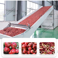 Déshydrateur industriel de fruits, machine de lavage et de séchage de dattes, équipement de séchage pour olives, prunes et pruneaux