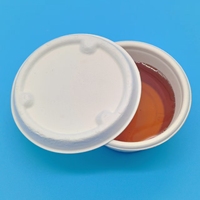 Bol jetable compostable en bagasse de canne à sucre avec couvercle, biodégradable, pour salade, soupe, plats à emporter