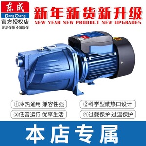 Dongcheng Blue Centrifugal Water Pump Electric Cast Iron High Lift Self Priming for Well and High Rise - Product Image 4