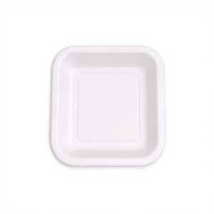 Axiom Greenex 7 Inch Square Bagasse Takeaway <b>Plate</b> Compostable Biodegradable Sugarcane <b>Disposable</b> - Product Image 1