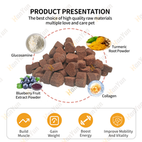 Complément protéiné à croquer pour chiens, marque privée, pour la croissance musculaire, soutient le développement musculaire et renforce le système immunitaire avec des vitamines