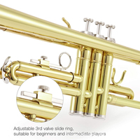 Professional Trumpet (premium Quality) Wholesale - Complete Set of Chinese Brass Band Instruments, Brass Body