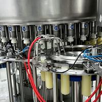 Volledig automatische negatieve druk vulmachine voor vers fruit- en groentesap, honingwater, aanpasbare productiecapaciteit