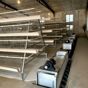 Système de cages à batterie de type A pour ferme d'élevage de 10 000 poulets pondeuses - Product Image 1