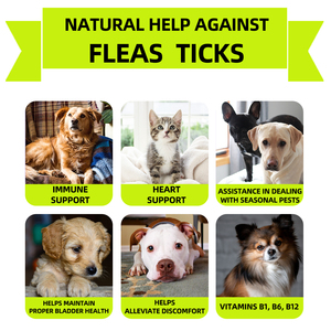 Masticables de Ajo Natural para la Defensa Contra <span class=keywords><strong>Pulgas</strong></span> y Garrapatas <span class=keywords><strong>en</strong></span> Perros - Golosinas Inmunoestimulantes para la Protección de la Piel Canina - Proveedor Mayorista - Product Image 3