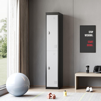 Système de casier intelligent en acier avec serrure électronique et serrure à clé, résistant aux intempéries, 2 portes, design moderne et durable pour usage professionnel