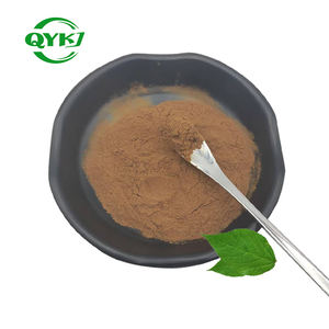 卸売最安値 10:1 天然桑の葉エキス 純粋桑の葉粉末 - Product Image 3