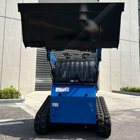 Loader Skid Steer Kompak Serbaguna, Terjangkau, Beroda Rantai, Bak Kecil, Bertenaga Gas, Bersertifikasi CE EPA, Tahan Lama, Handal, untuk Pertanian dan Lanskap