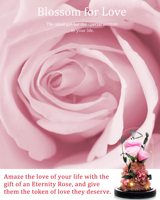 Nouvelles idées de produits 2024 Forever Préservé Roses Dome Valentine Day Merci Anniversaire Anniversaire pour les femmes Femme Petite amie cadeau article