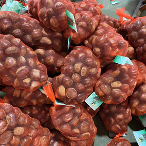 Approvisionnement d'usine de châtaignes chinoises fraîches pelées et rôties de marque Sinofarm en provenance de Chine <span class=keywords><strong>au</strong></span> <span class=keywords><strong>prix</strong></span> de gros pour importation - Product Image 1