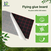 Piège à insectes collant jetable double face en plastique solide, jaune, pour insectes volants, abeilles, mouches des fruits, parasites des vergers et serres
