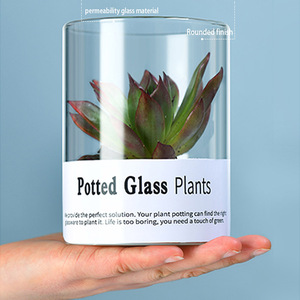 Jarrón de Vidrio Cilíndrico Moderno Hecho a Mano de Alta Calidad, Cristal Transparente de Borosilicato Ecológico para Flores de Boda y Decoración del <span class=keywords><strong>Hogar</strong></span> - Product Image 2