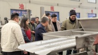Voedselverwerkingsmachine met trilzeef voor het ontwateren en ontvetten van groenten en fruit, apparatuur voor het verwijderen van water en olie