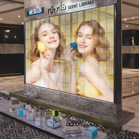 Afficheur numérique LED couleur transparente ET3.91 pour publicité intérieure sur vitrine, avec écran à haute luminosité Ice Screen