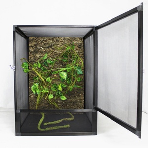 Hot Selling Eco-Friendly <b>for</b> Transparent Acrylic Reptile Terrarium <b>for</b> <b>Chameleons</b> and Butterflies <b>for</b> Home/Office/Shop Use - Product Image 1