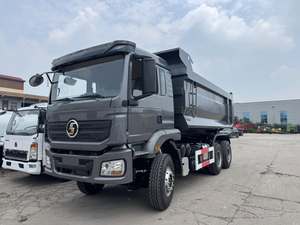 Camion benne lourd SHACMAN 6x4 10 roues 300 CV de conception professionnelle à vendre - Product Image 6